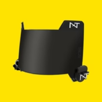 VISORS